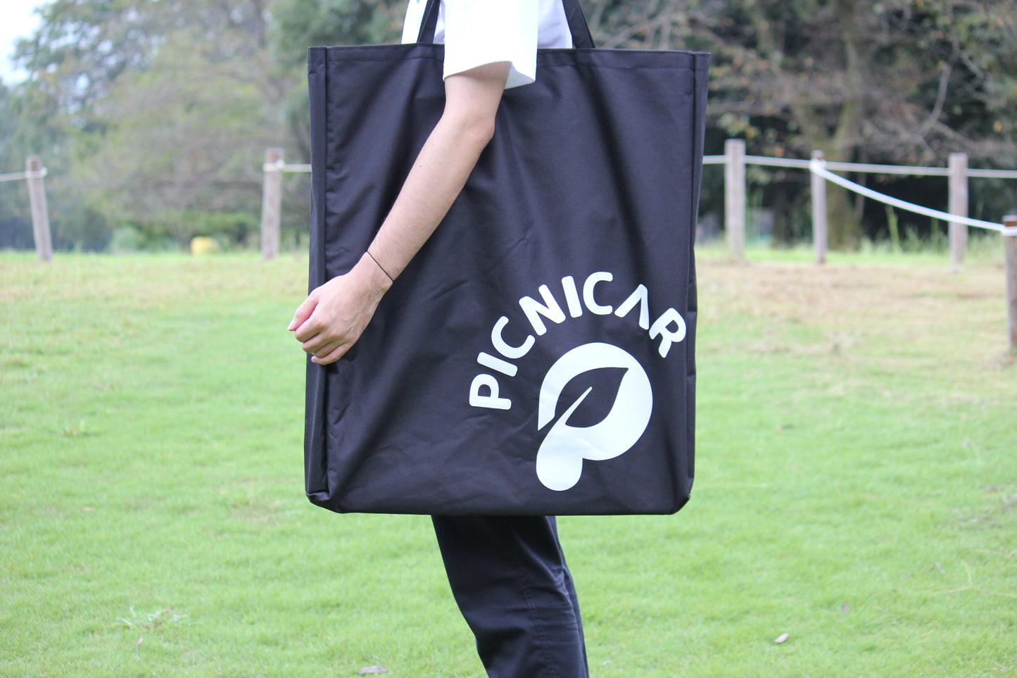 PICNICAR FOLDING CHAIR Ver.takibi ブナ HS-85
