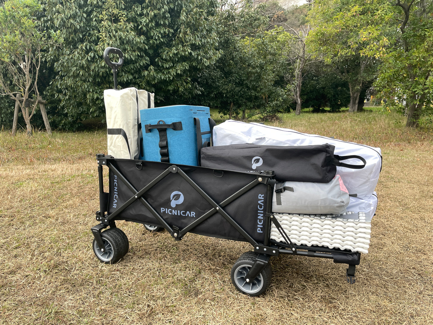 PICNICAR ピクニCAR FLAP WAGON